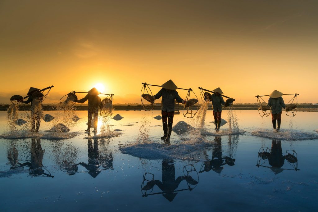 U-Expeditions